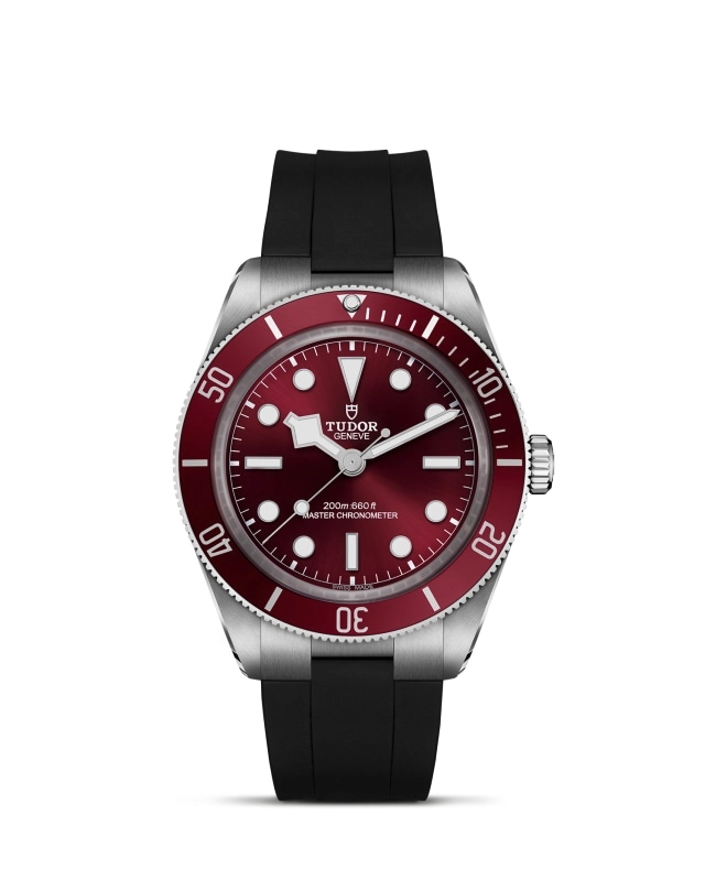 TUDORBlack Bay 58Black Bay 5839mm stainless steel case with polished and satin finishes - M7939A1A0RU-0003 at Cortina Watch Singapore